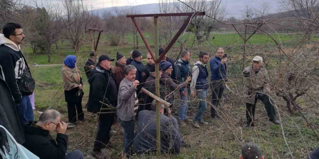Çiftçilere meyve ağacı aşılama ve budama eğitimi