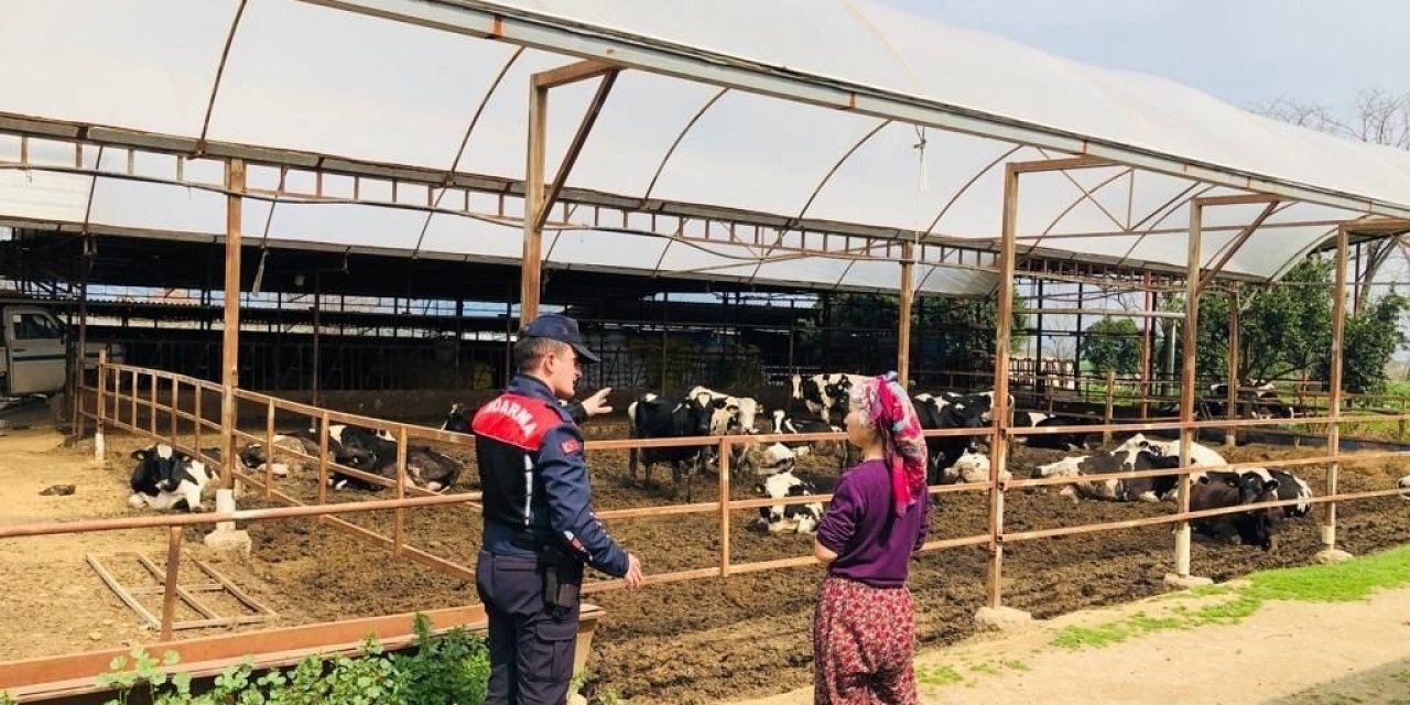 Jandarma hayvan hırsızlığına karşı bilgilendirdi