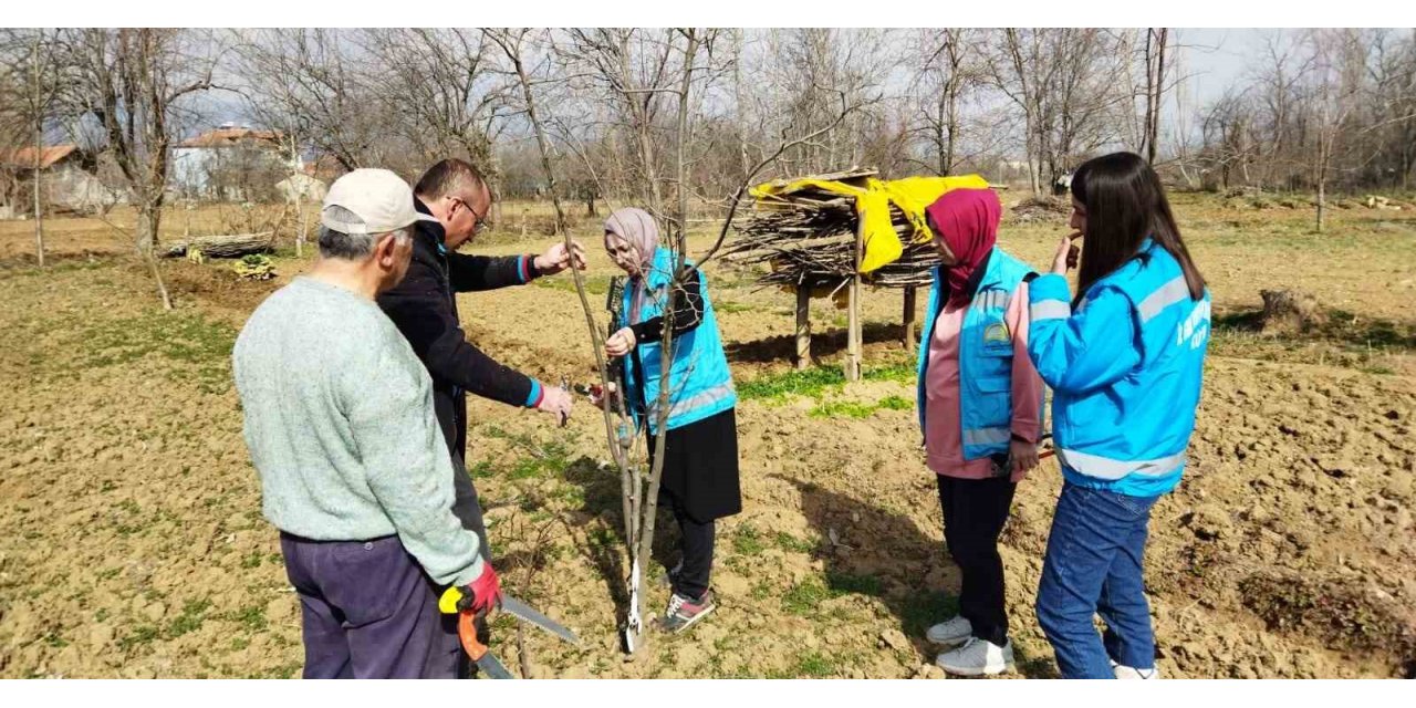 Hisarcık’ta çiftçilere meyve ağaçlarında budama teknikleri eğitimi