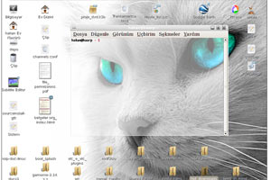 Pardus ilk 5'e girdi