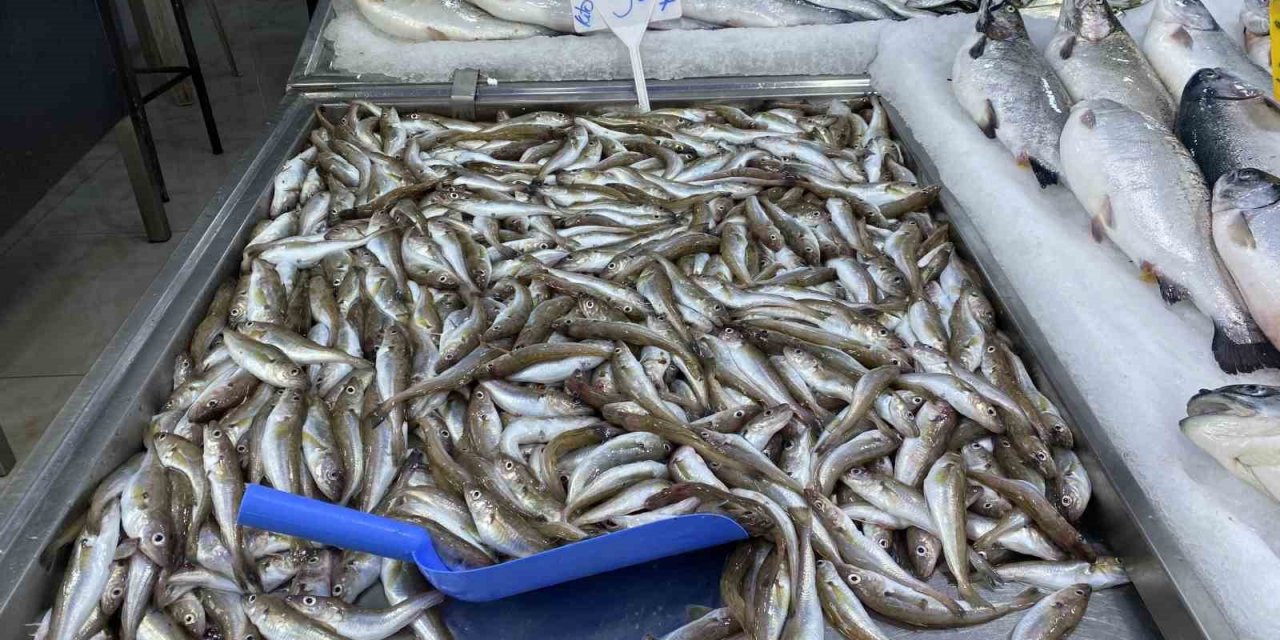 Ramazan’da mezgit ve somon rağbet görüyor