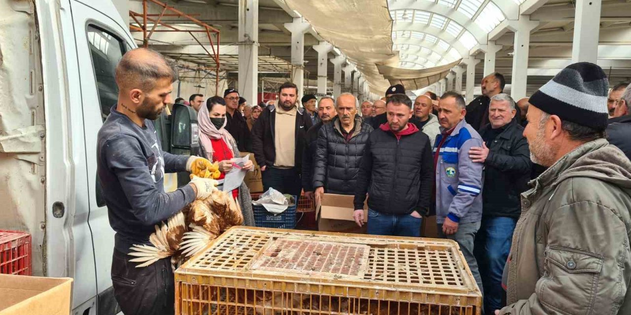 Alaplı Ziraat Odası, çiftçilere tavuk dağıttı