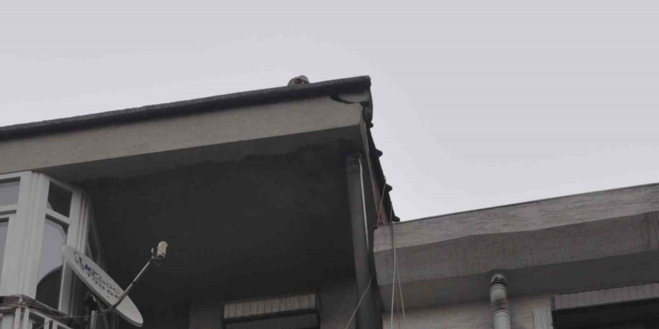 Bina çatısında endişe uyandıran tehlike giderildi