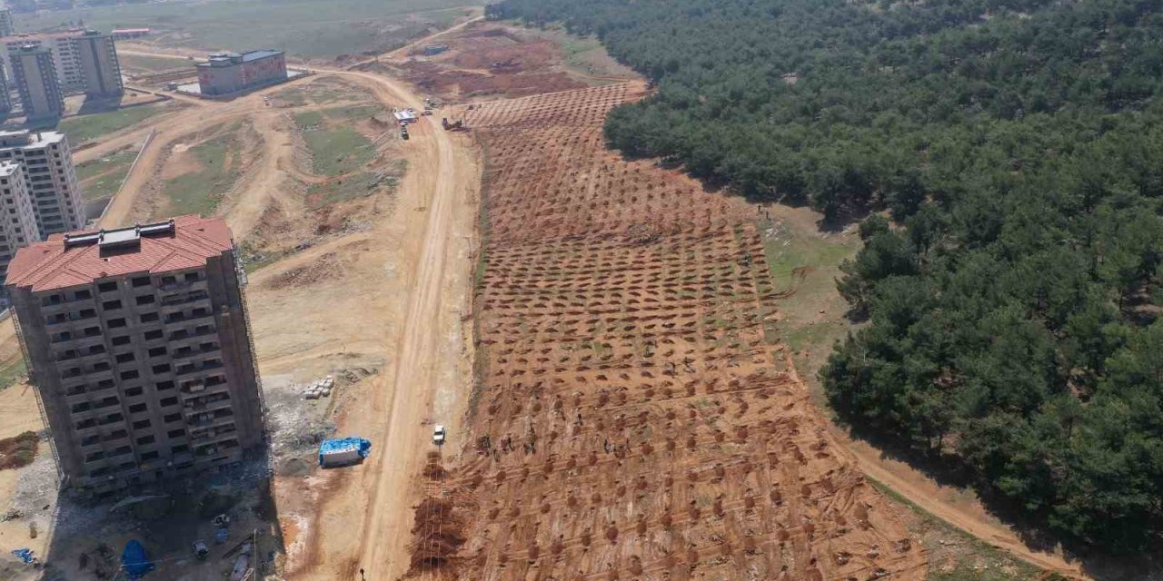 Şehitkamil’de 26. orman için hazırlıklar tamamlandı