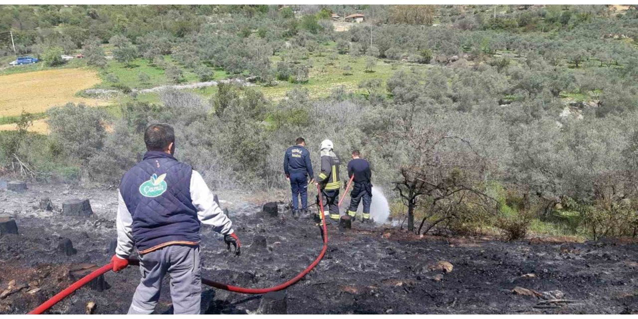 Temizlik ateşi ormanı yakıyordu