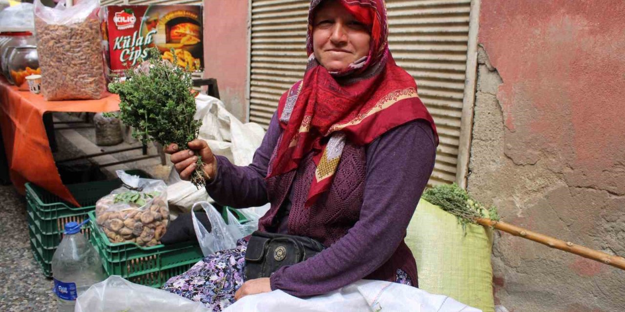 Aydın’da dağ kekikleri tezgahlarda yerini aldı