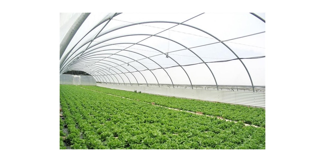 Kırsal kalkınmada uzman eller projeleri desteklenecek