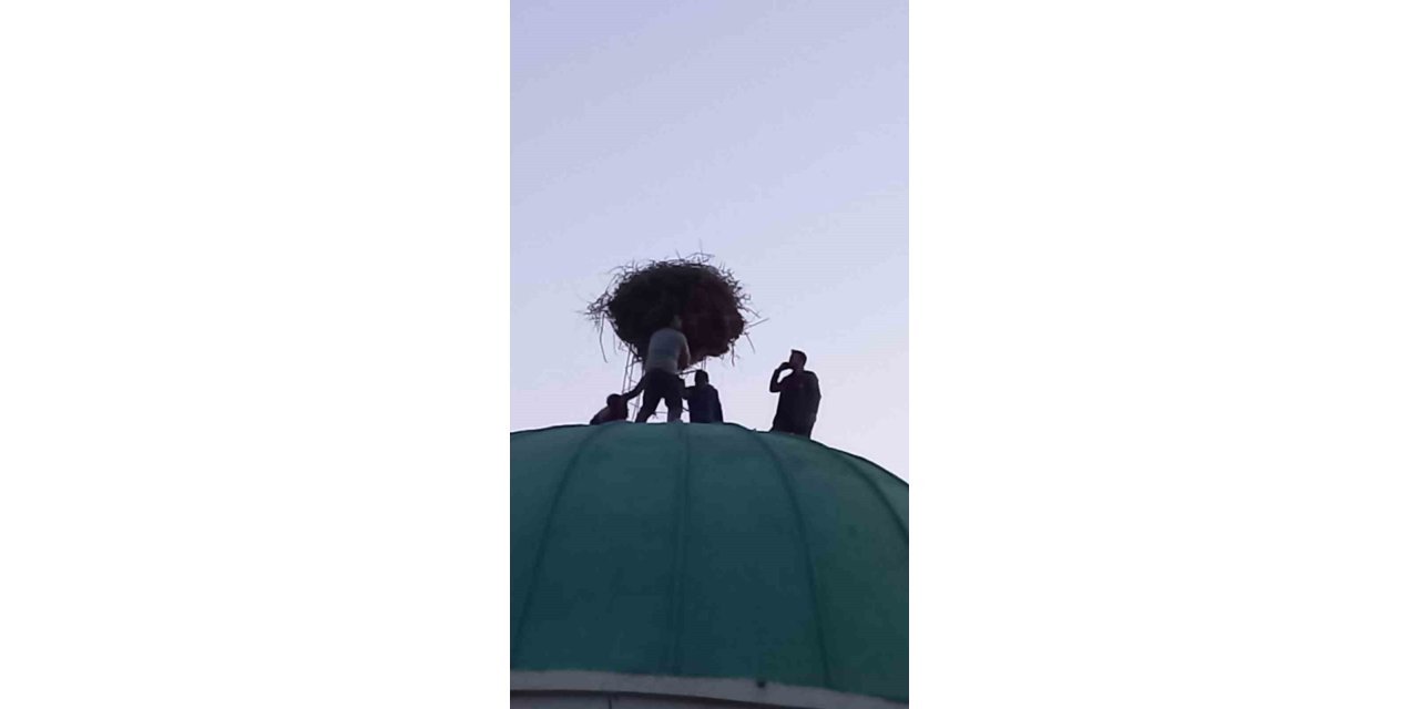 Depremzede leylek ailesi güvenli kubbeye taşındı