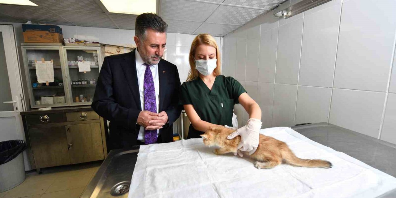 Bayraklı’daki can dostlara özel klinik