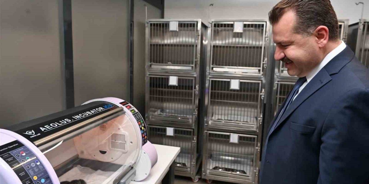 Balıkesir Büyükşehir sokak hayvanlarının yanında