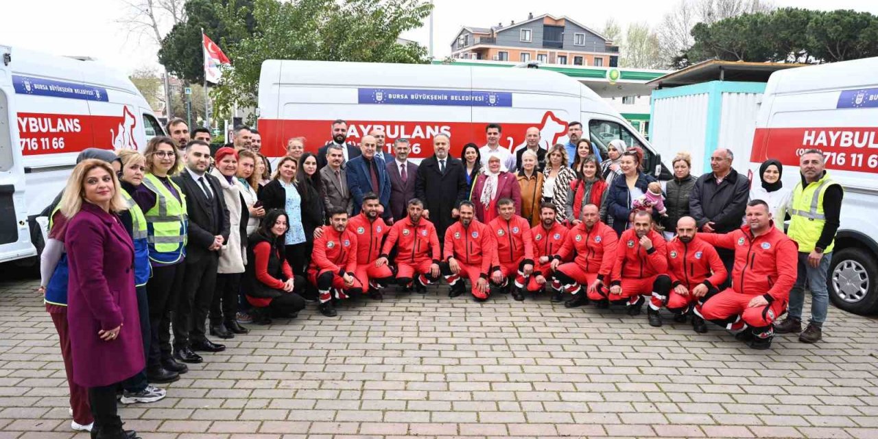 Bursa’da sokak hayvanlarına ‘Haybulans’