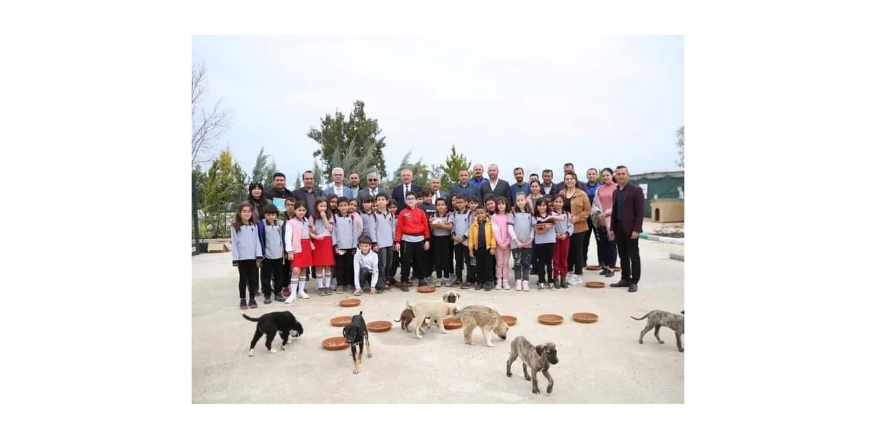 Serik’te sokak hayvanları unutulmadı