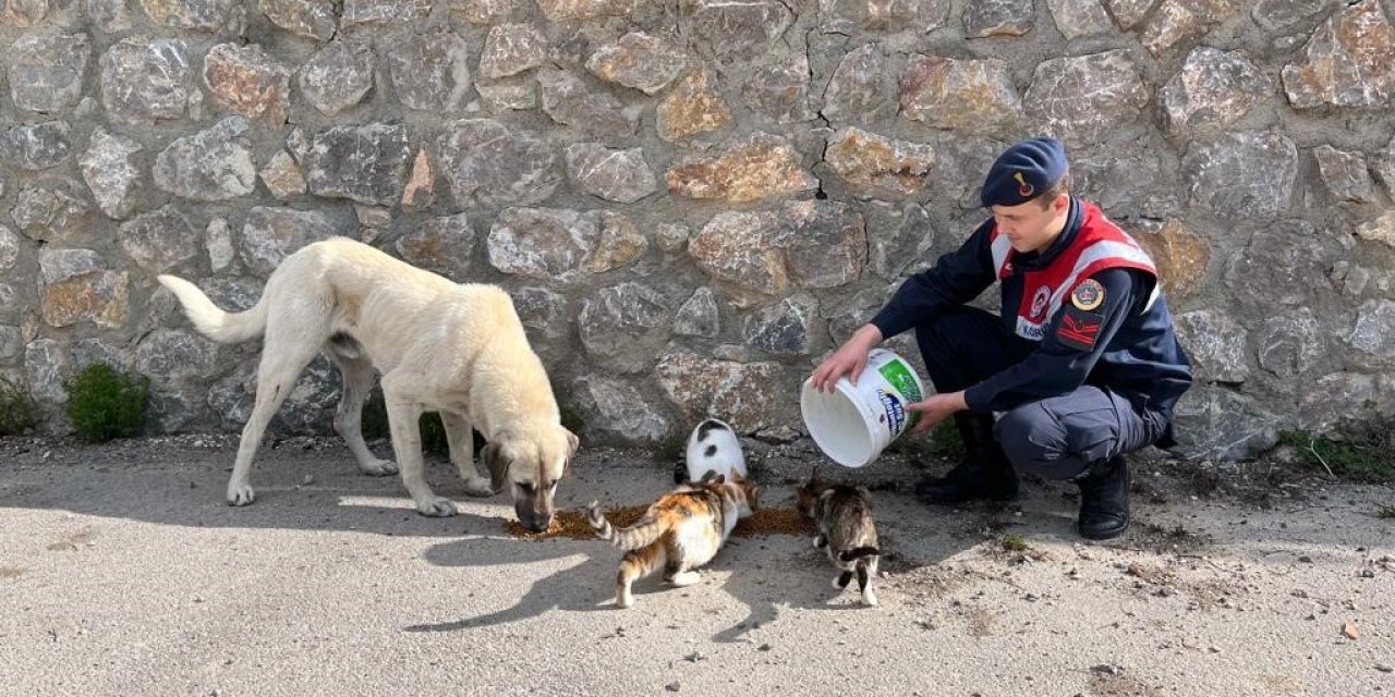 Jandarmadan hayvanlara yiyecek verdi