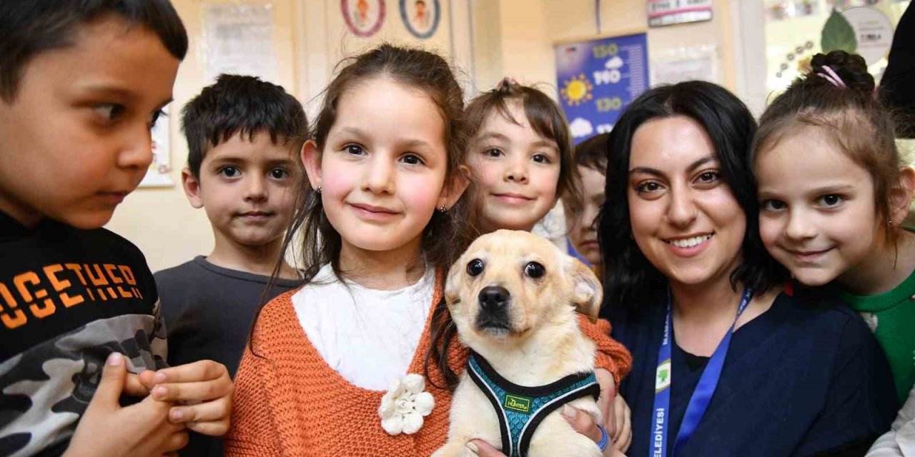 Mamak’ta Dünya Sokak Hayvanları Günü kutlandı