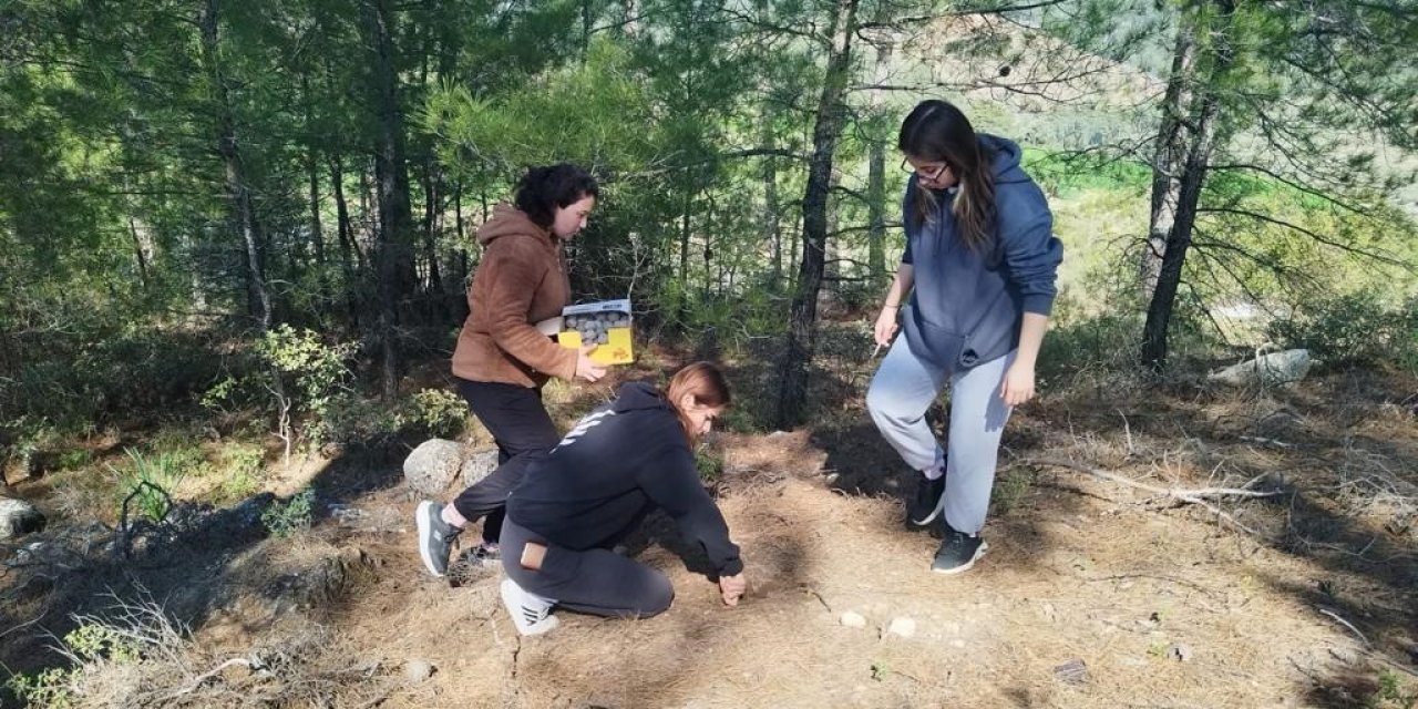 Muğla’da tohum bombaları toprakla buluştu