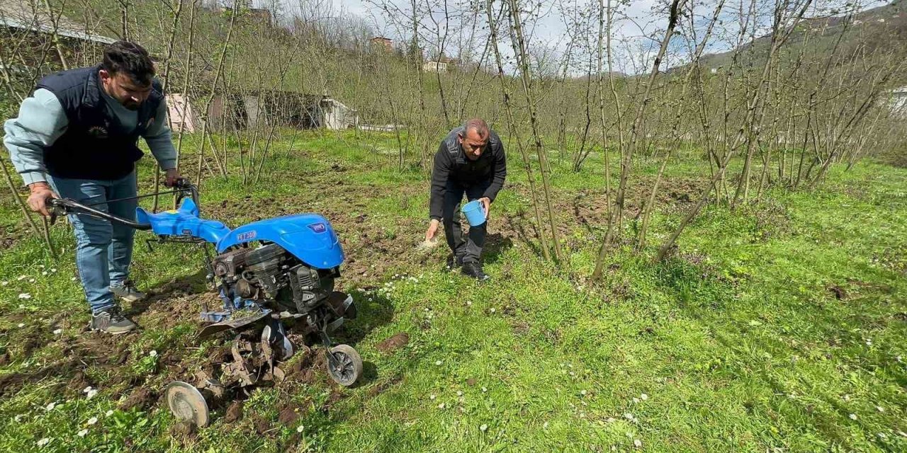 Fındıkta bilinçli gübre kullanımı verimi ikiye katladı