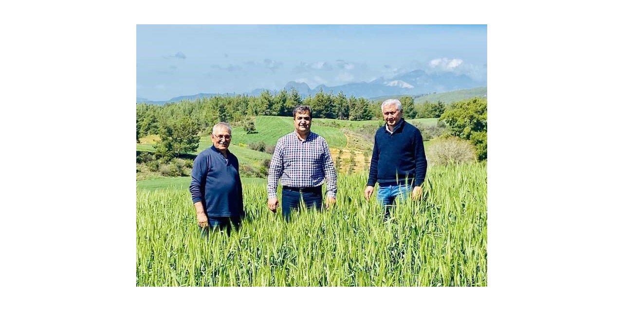 110 bin dekar hububat ekili alanda 50 bin ton buğday ve arpa rekoltesi bekleniyor