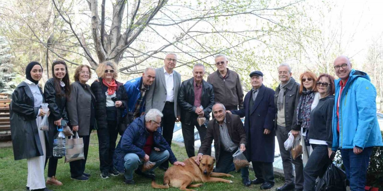 Tazelenme Üniversitesi öğrencileri sokak hayvanlarını unutmadı