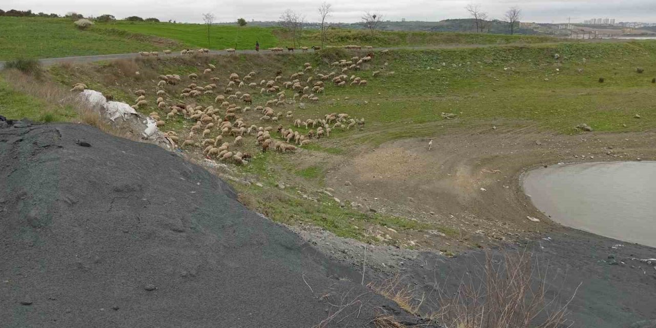 Arnavutköy’de göl kenarına dökülen madde paniğe neden oldu