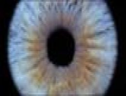 Körler artık çiplerle görebilecek