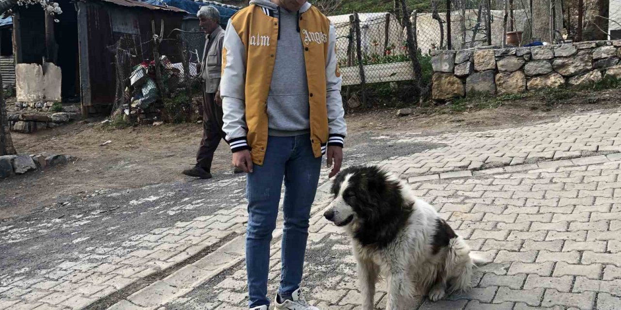 Vefalı köpek askerden dönen sahibine sarıldı