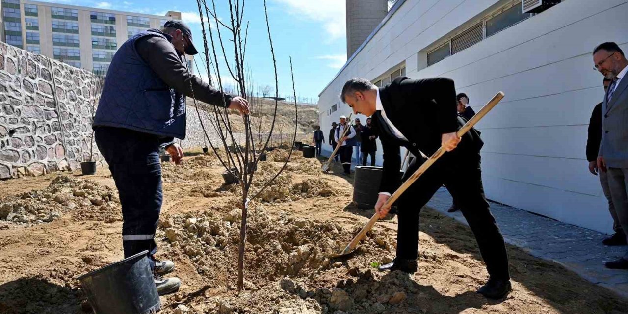 Mesai arkadaşlarından kızı vefat eden öğretim üyesine vefa: Kampüste meyve bahçesi oluşturdular