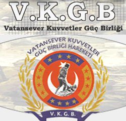 Vatandaş sevmeyen vatansever...