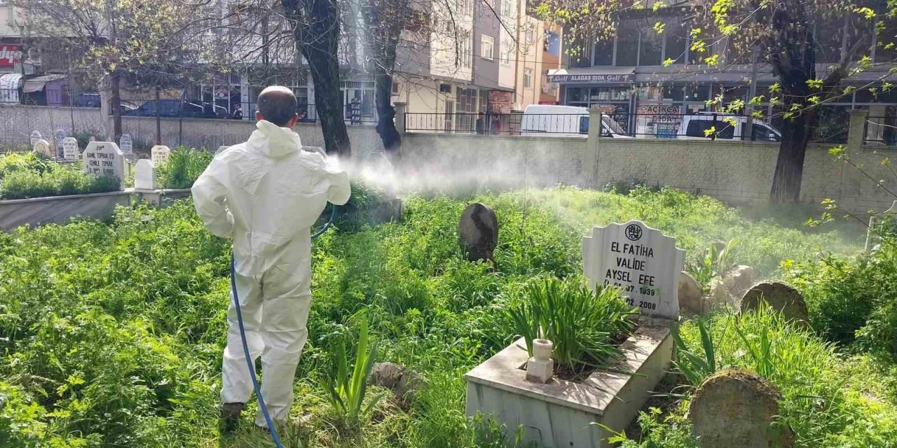 Siirt’te mezarlıklarda yabani otlara karşı ilaçlama çalışması başlatıldı