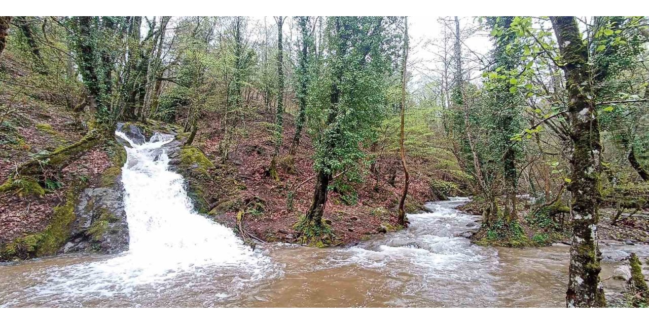 Kuraklık alarmı veren Kazdağları’ndan sevindiren görüntü