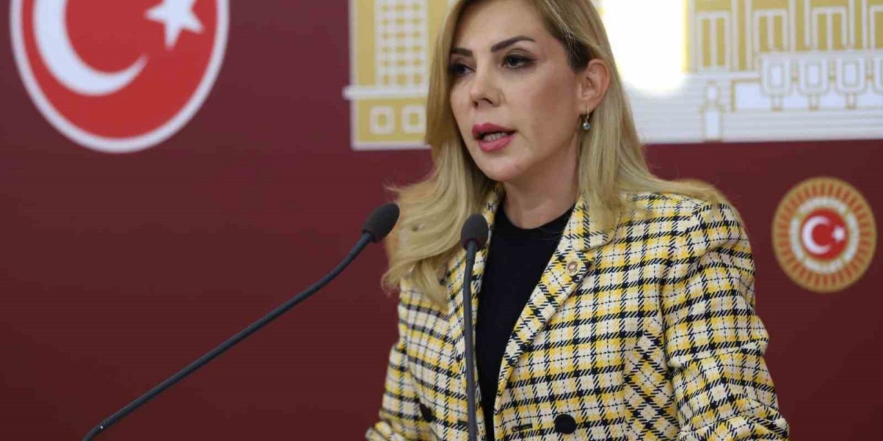 Milletvekili Gökcan:  “Söz değil, eser ürettik”