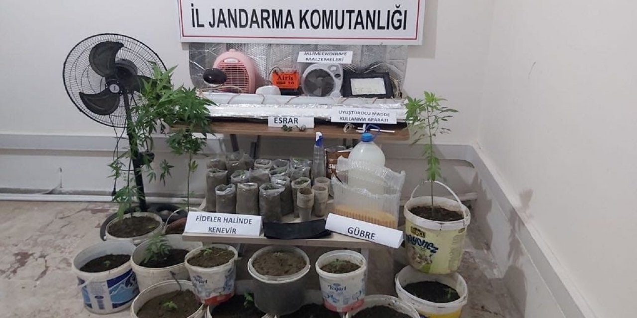 Saruhanlı’da saksıda uyuşturucu yetiştiren kişi yakalandı