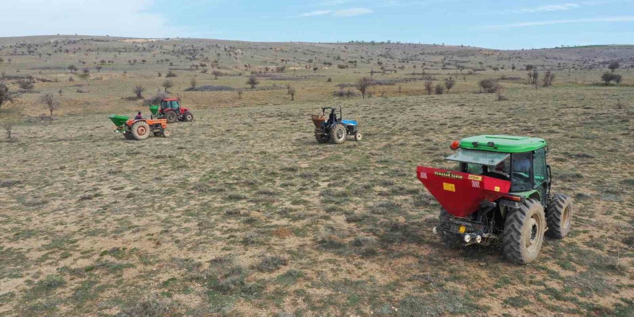 Denizli’nin 11 ilçesinde 12 bin dekar mera ıslah edildi