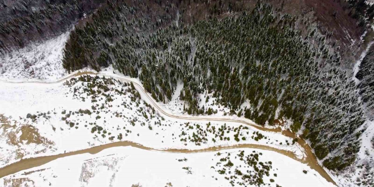 Gümüşhane yaylalarından kar ve sis manzaraları