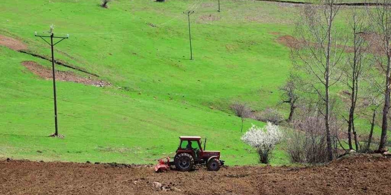 Ordu’da atıl araziler tarımla buluşuyor
