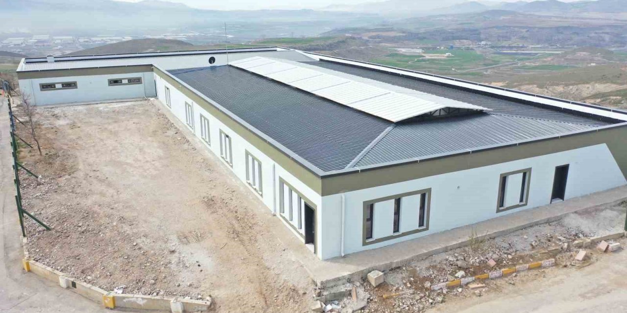 Büyükşehirden Yeni ve Modern Kedi Köpek Evi