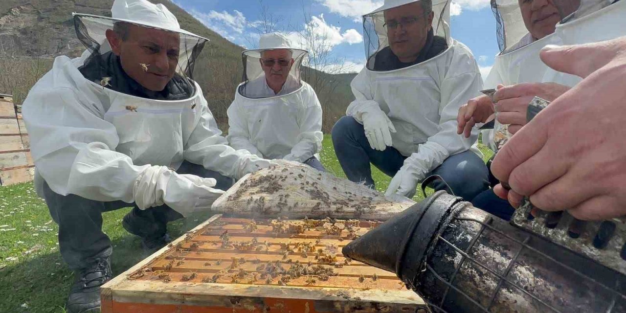 Ordu’da arıcılara ilaç desteği
