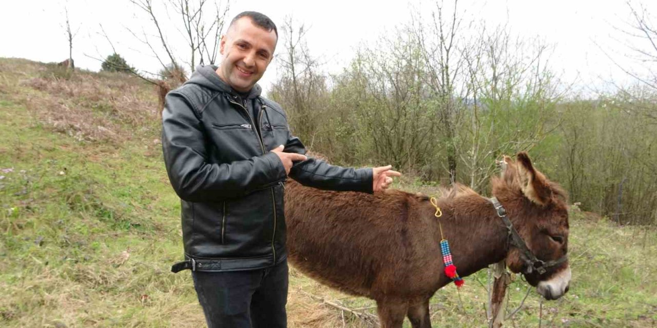 Pendik’te, internetten 7 bin 500 TL’ye satışa çıkarılan eşek ilgi odağı oldu