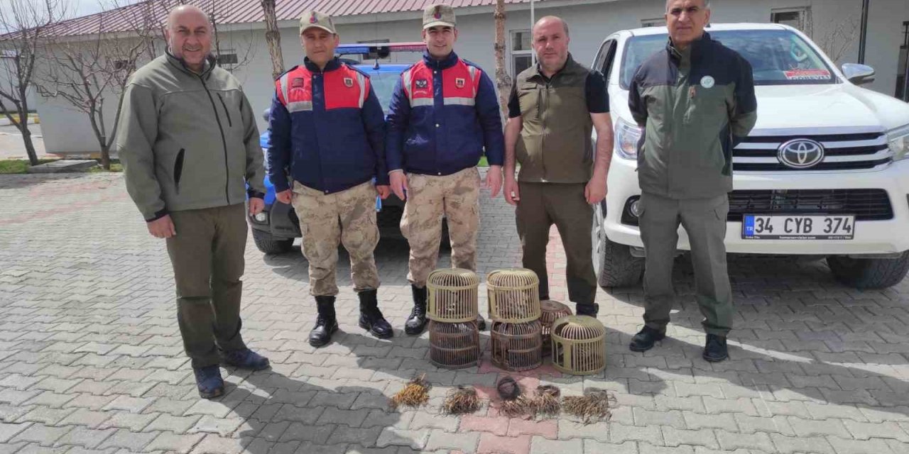 Van’da kafes avcılığı yapan 4 kişi jandarmaya takıldı