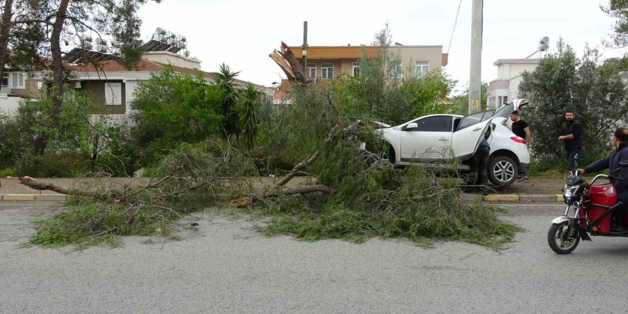 Manavgat’ta kontrolden çıkan otomobil ağaca çarptı: 1 yaralı
