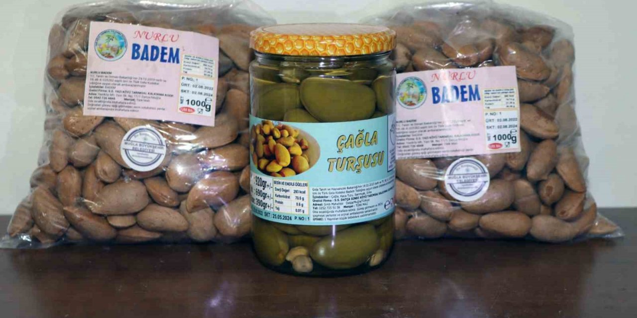 Yurtdışına 2 ton Datça Çağla turşusu