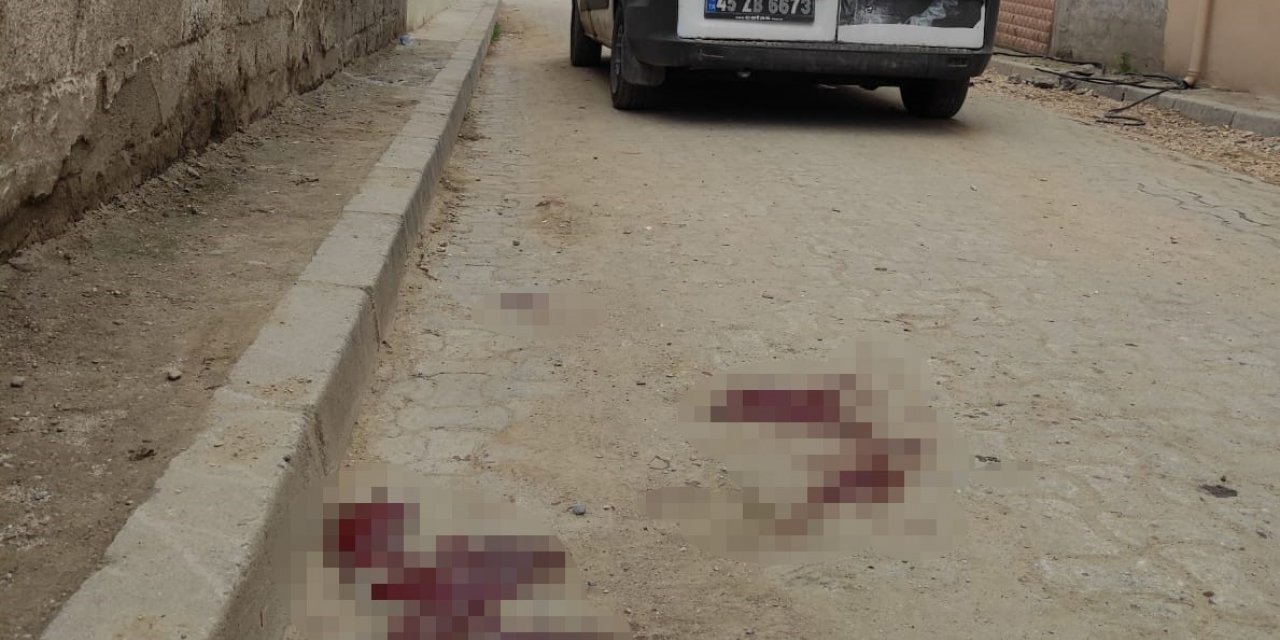 Yemek dağıtım aracının çarptığı çocuk öldü