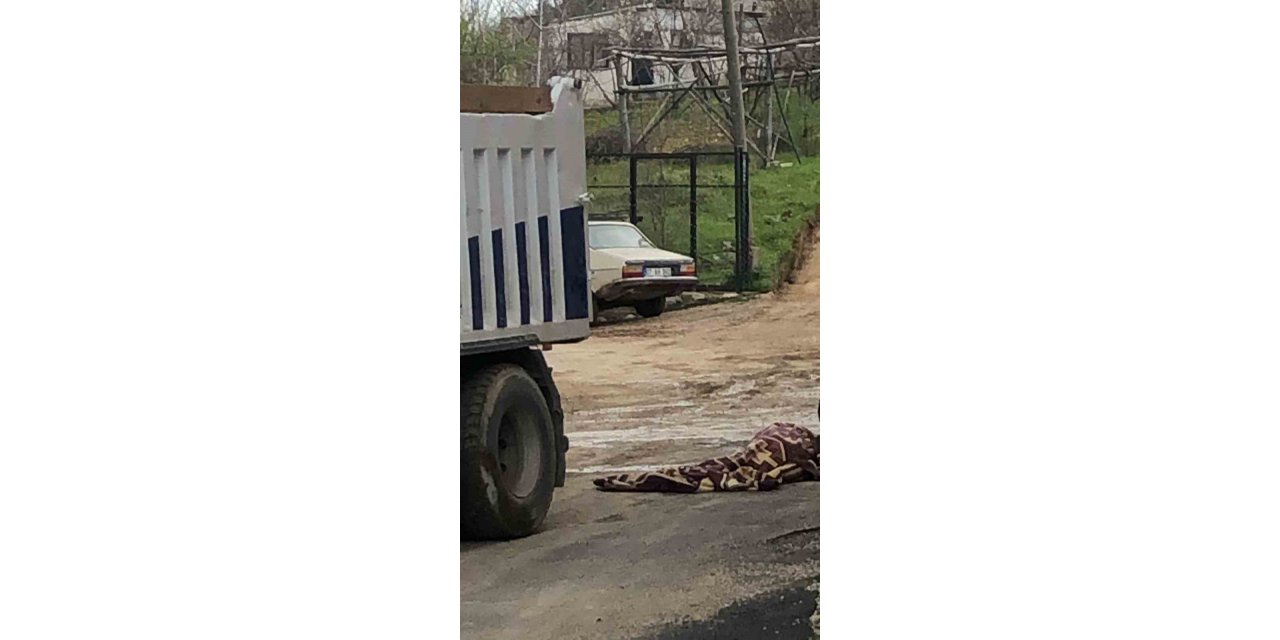 Geri manevra yapan kamyonun ezdiği yaşlı adam hayatını kaybetti