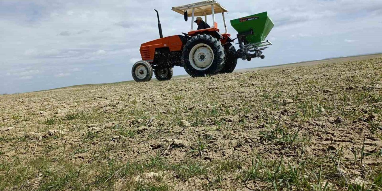 Kırşehir’de tarladaki mahsulleri soğuk vurdu