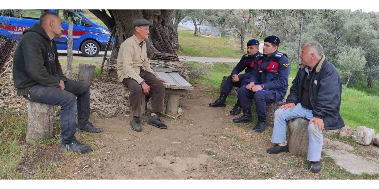 Jandarmadan yaşlı çınarlara saygı