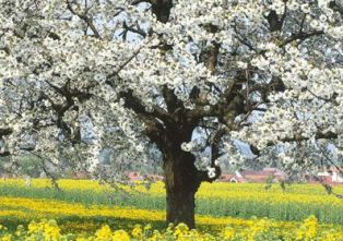 Havadan güzel haber !