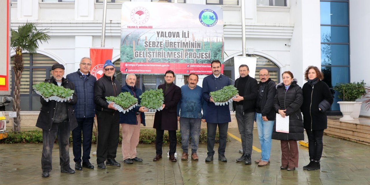 Yalova’da sebze üreticilerine 52 bin 550 adet hıyar fidesi dağıtıldı