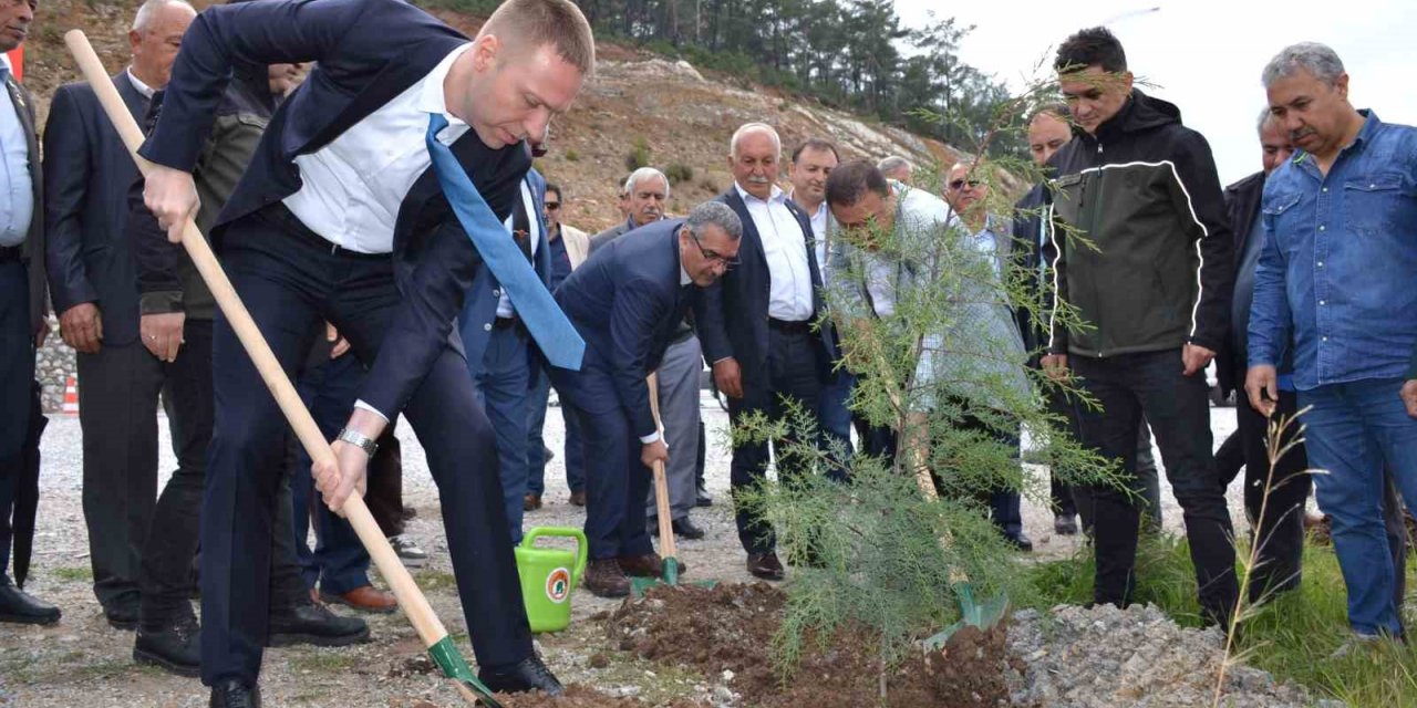 Yanan alanı muhtarlar yeniden yeşillendirecek