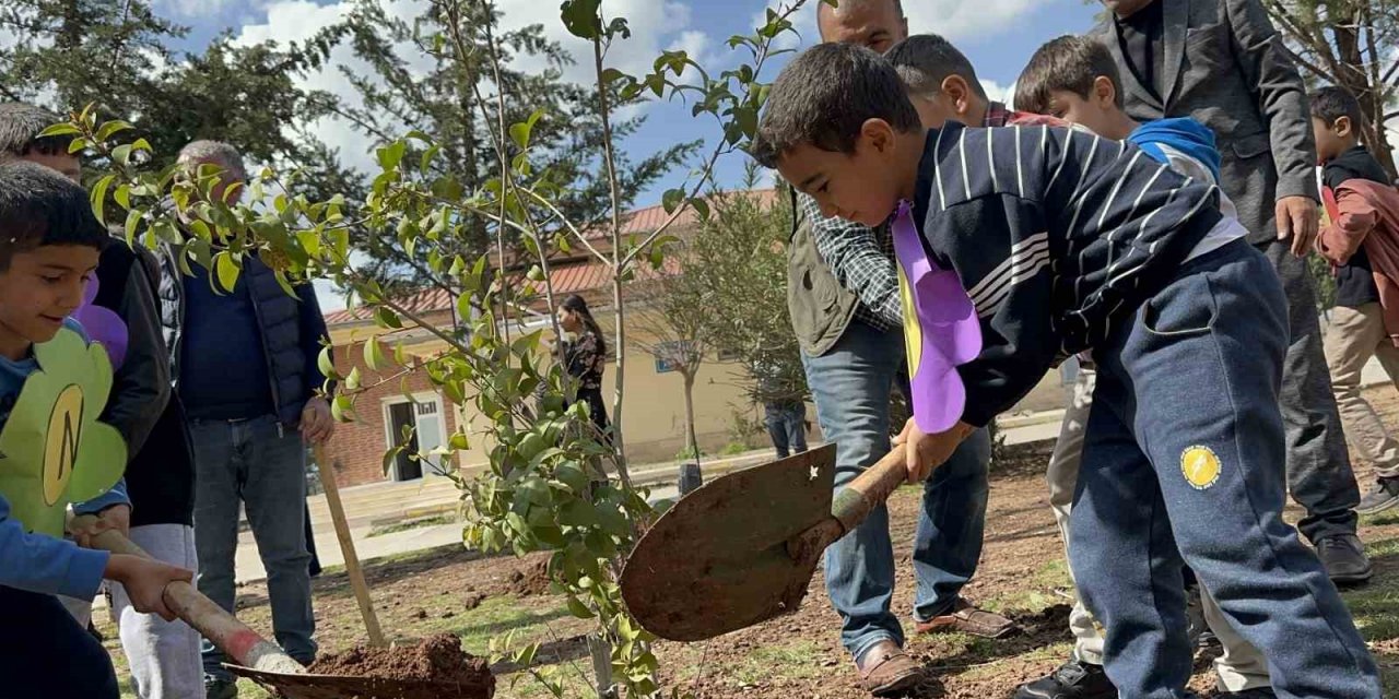 Öğrenciler fidan dikti