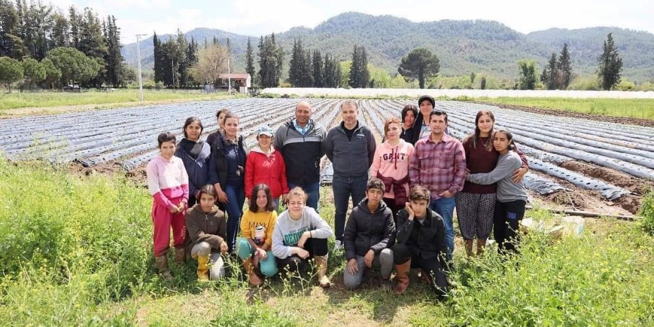 Köyceğiz’de öğrenciler çilek yetiştiriciliğine başladı