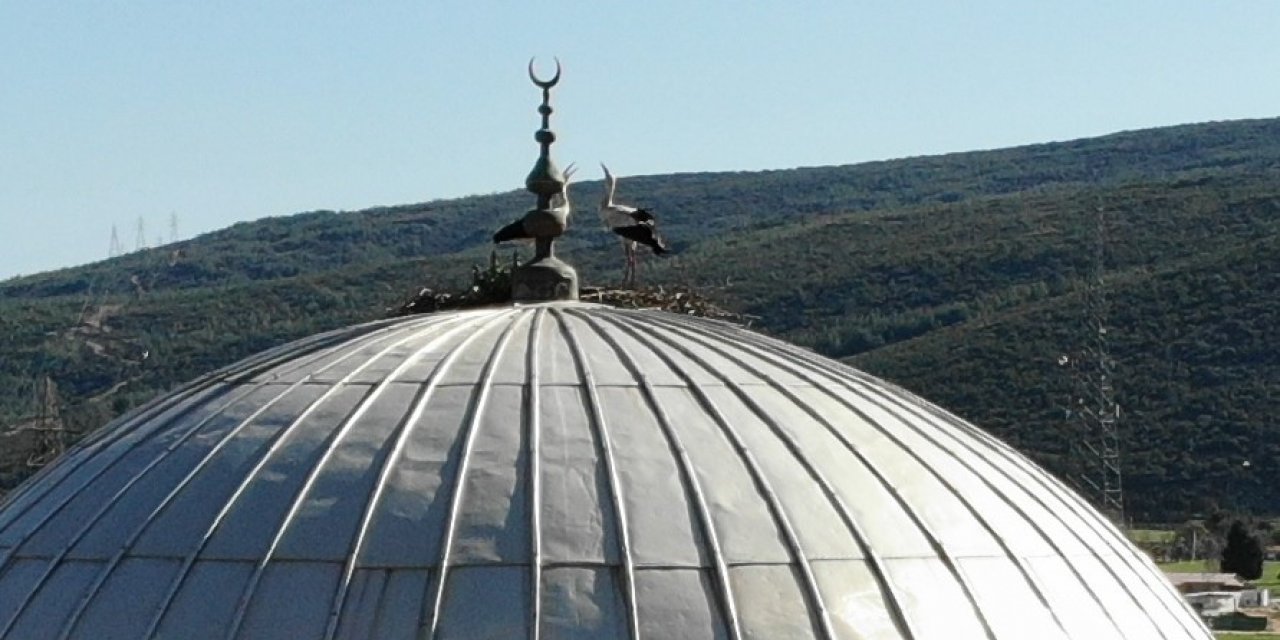 Muğla’da 27 yıllık caminin 21 yıllık misafirleri